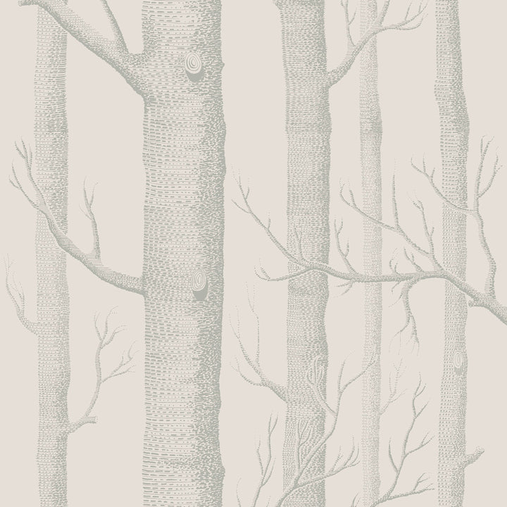 Detailed monochromatic tree trunk and branch pattern on light background.