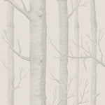 Detailed monochromatic tree trunk and branch pattern on light background.