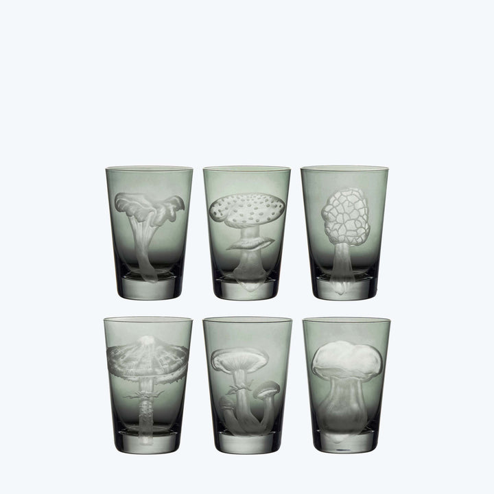 Set of five frosted glass drinking glasses with mushroom designs