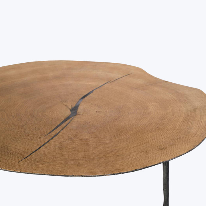 Rustic wooden table top with natural edge and visible growth rings.