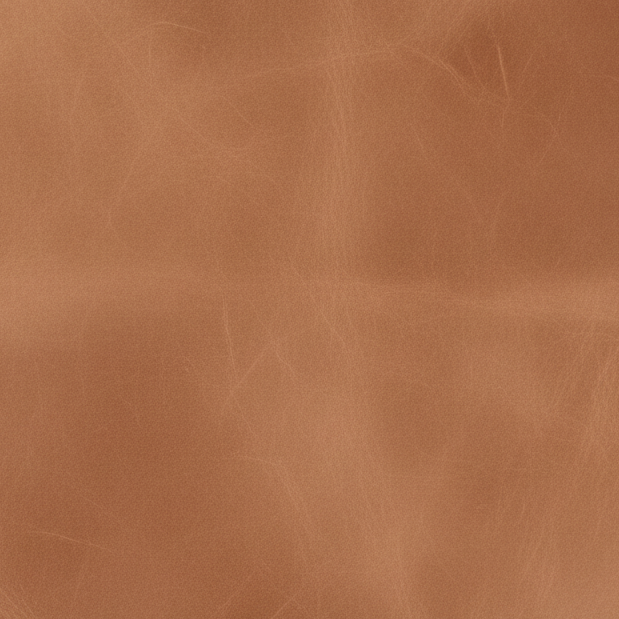 Apelle Leather Dining Armchair