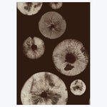 Pernille Folcarelli - Mushroom - 5 Chocolate 8.27"W x 0.04"D x 5.91"H