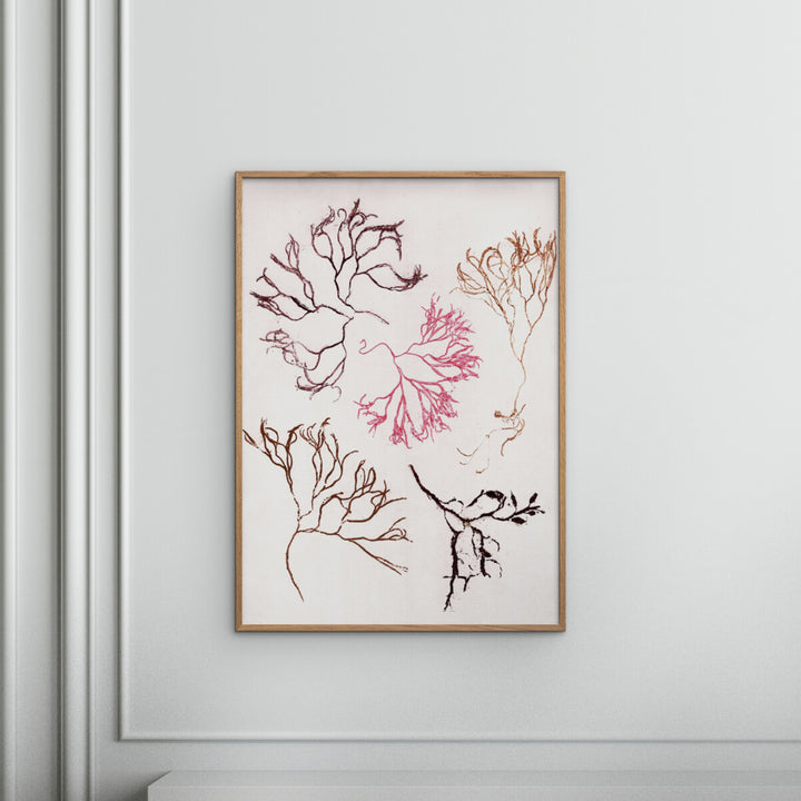 Pernille Folcarelli - Algae Multi 8.27"W x 0.04"D x 5.91"H