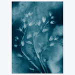 Pernille Folcarelli - Dropping Star Blue 11.81"W x 0.04"D x 15.75"H