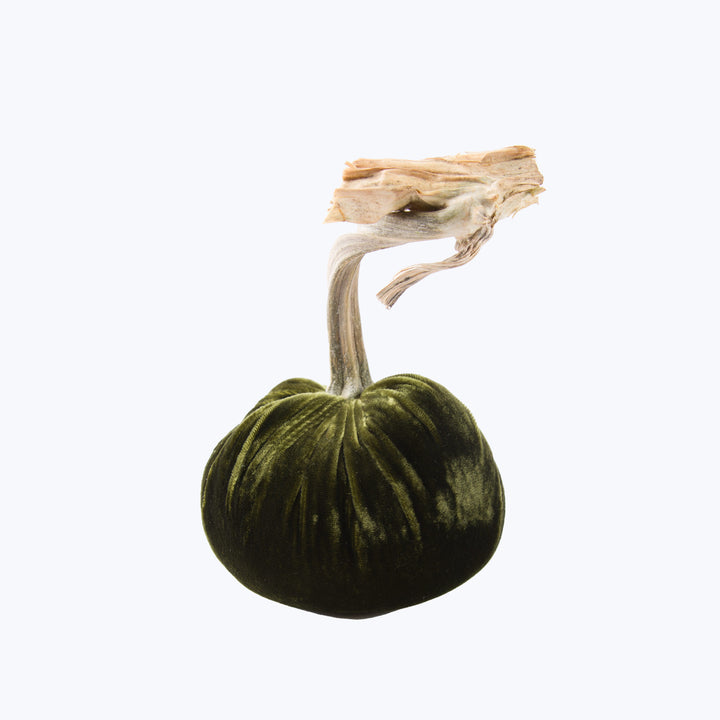 Silk Velvet Pumpkin