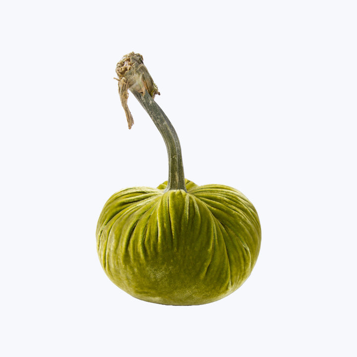 Silk Velvet Pumpkin