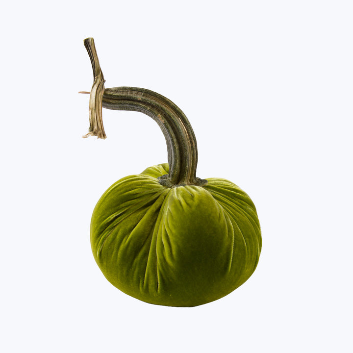Silk Velvet Pumpkin