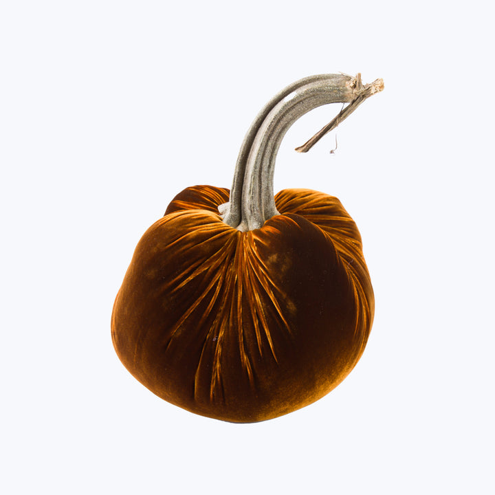 Silk Velvet Pumpkin
