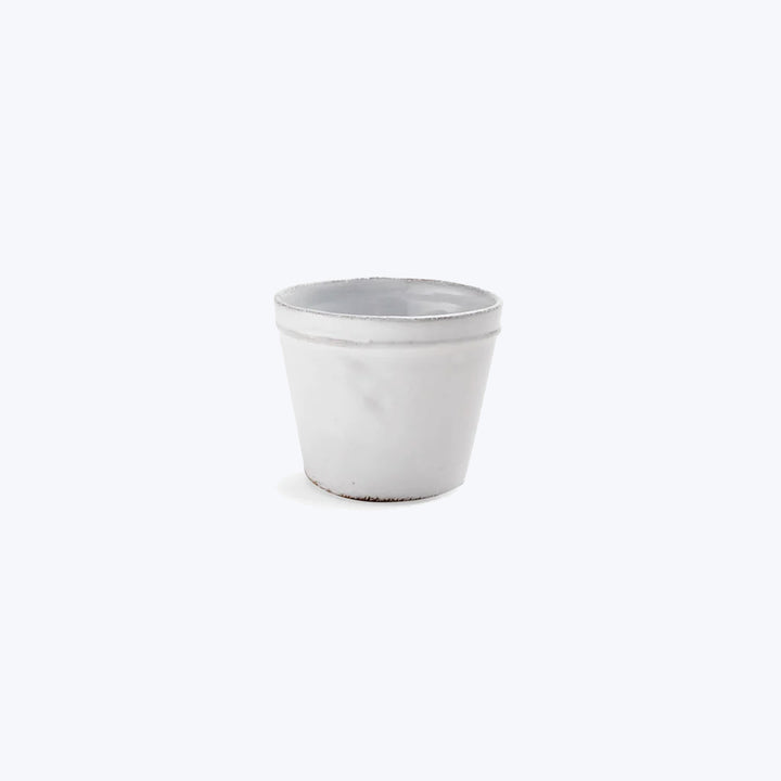 Single white disposable paper cup with rolled rim on white.